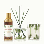 Frasier Fir? Pine Needle Favorites Trio