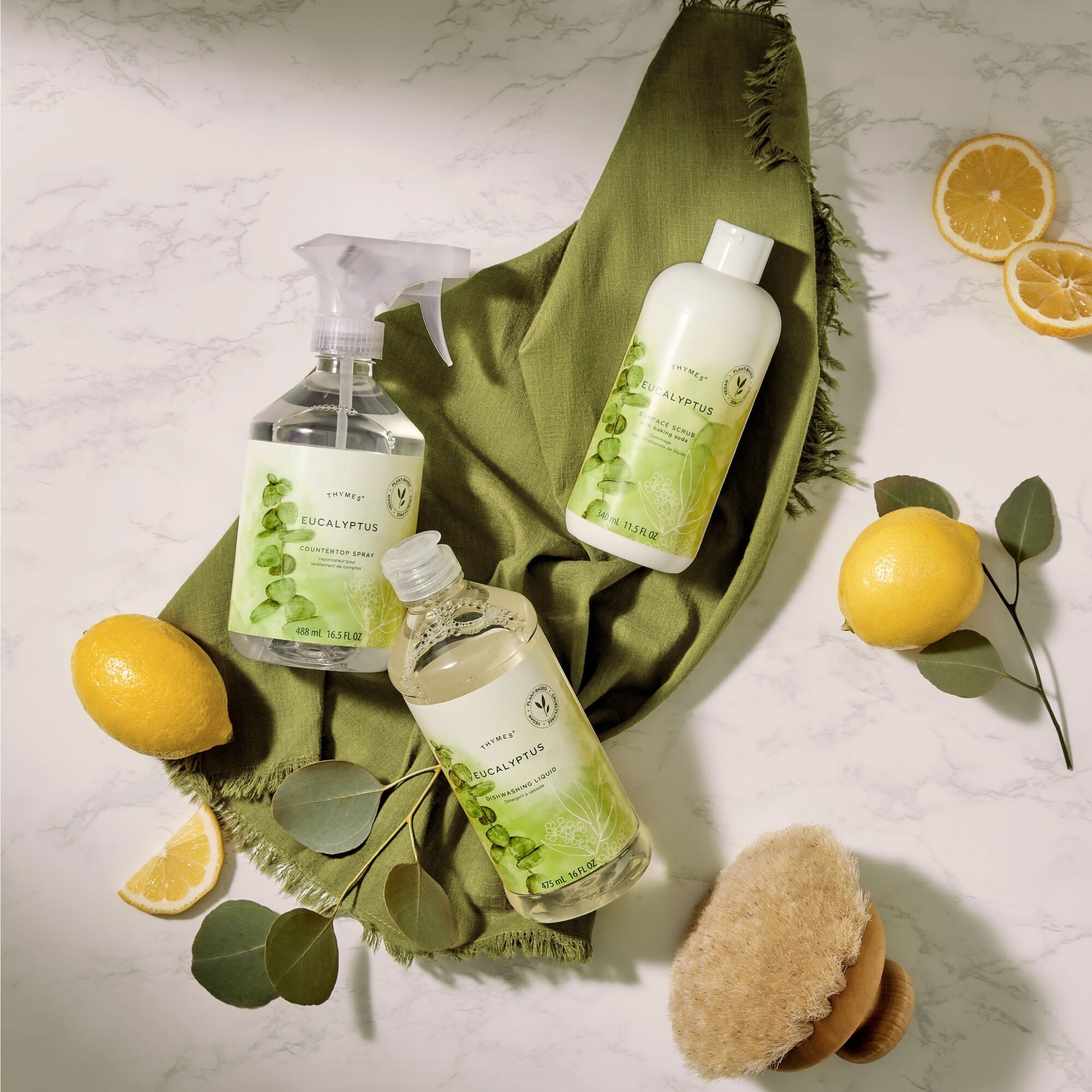 Eucalyptus Surface Scrub