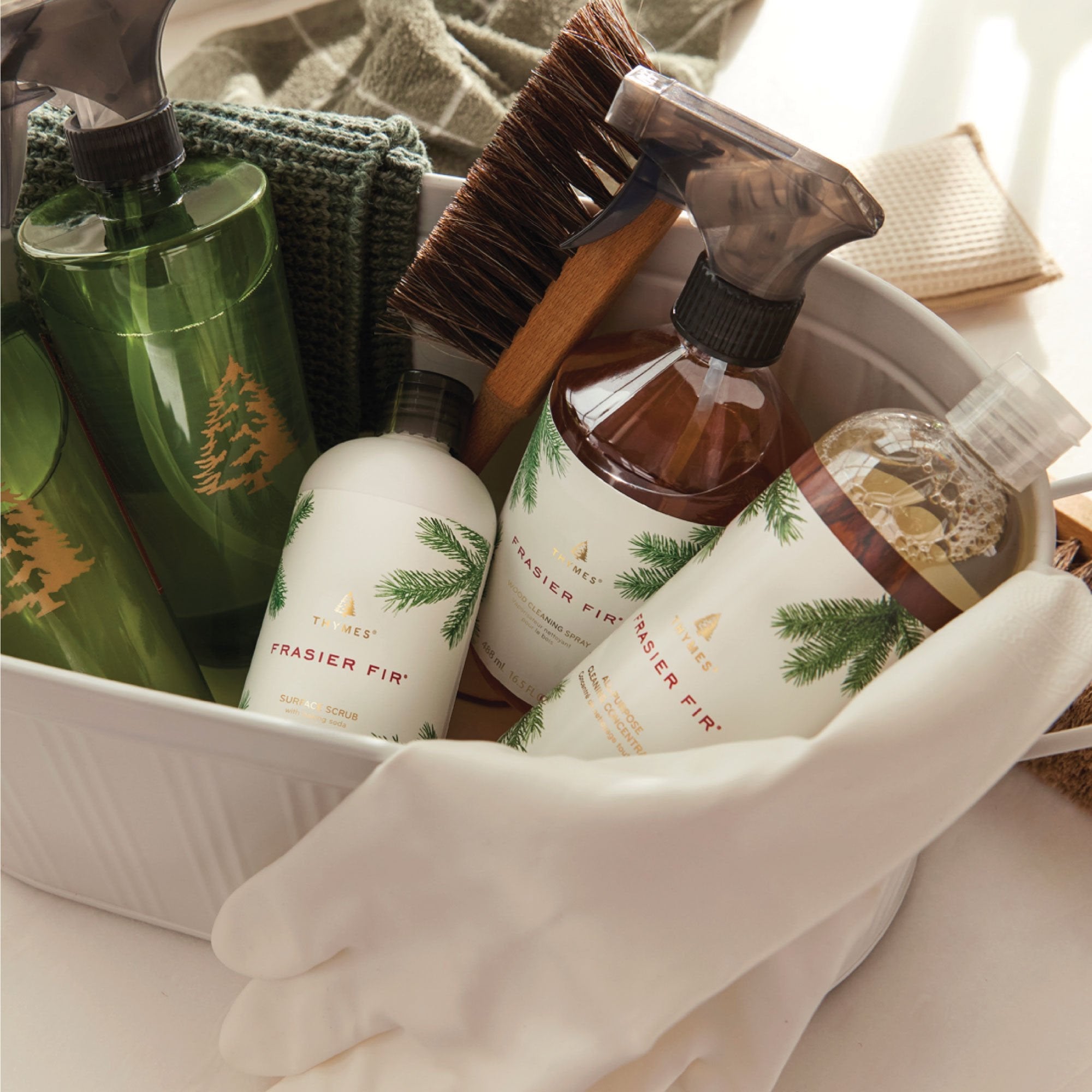 Frasier Fir? Surface Scrub