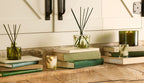 Frasier Fir? Pine Needle Reed Diffuser