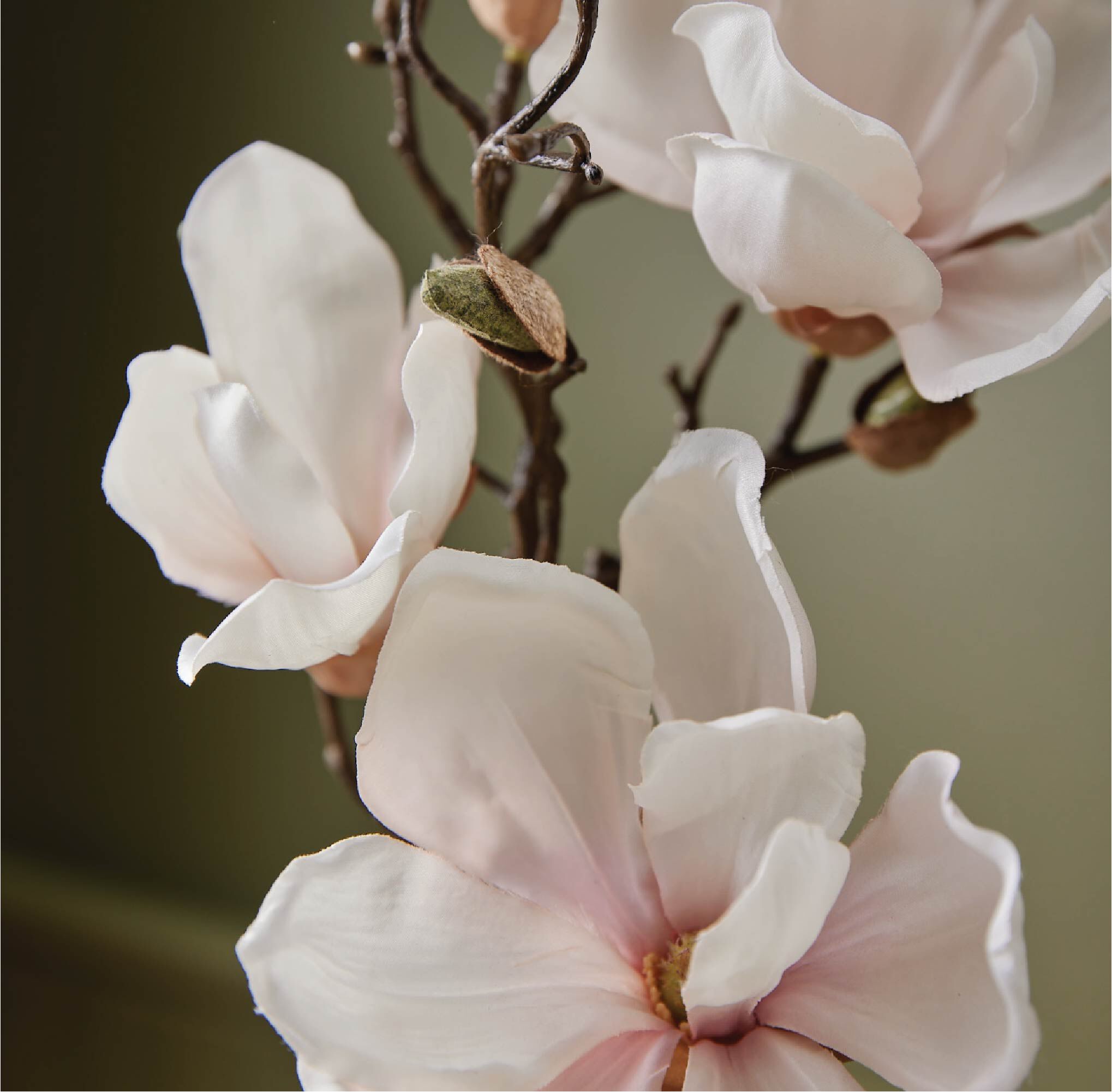Magnolia Willow Hand Lotion