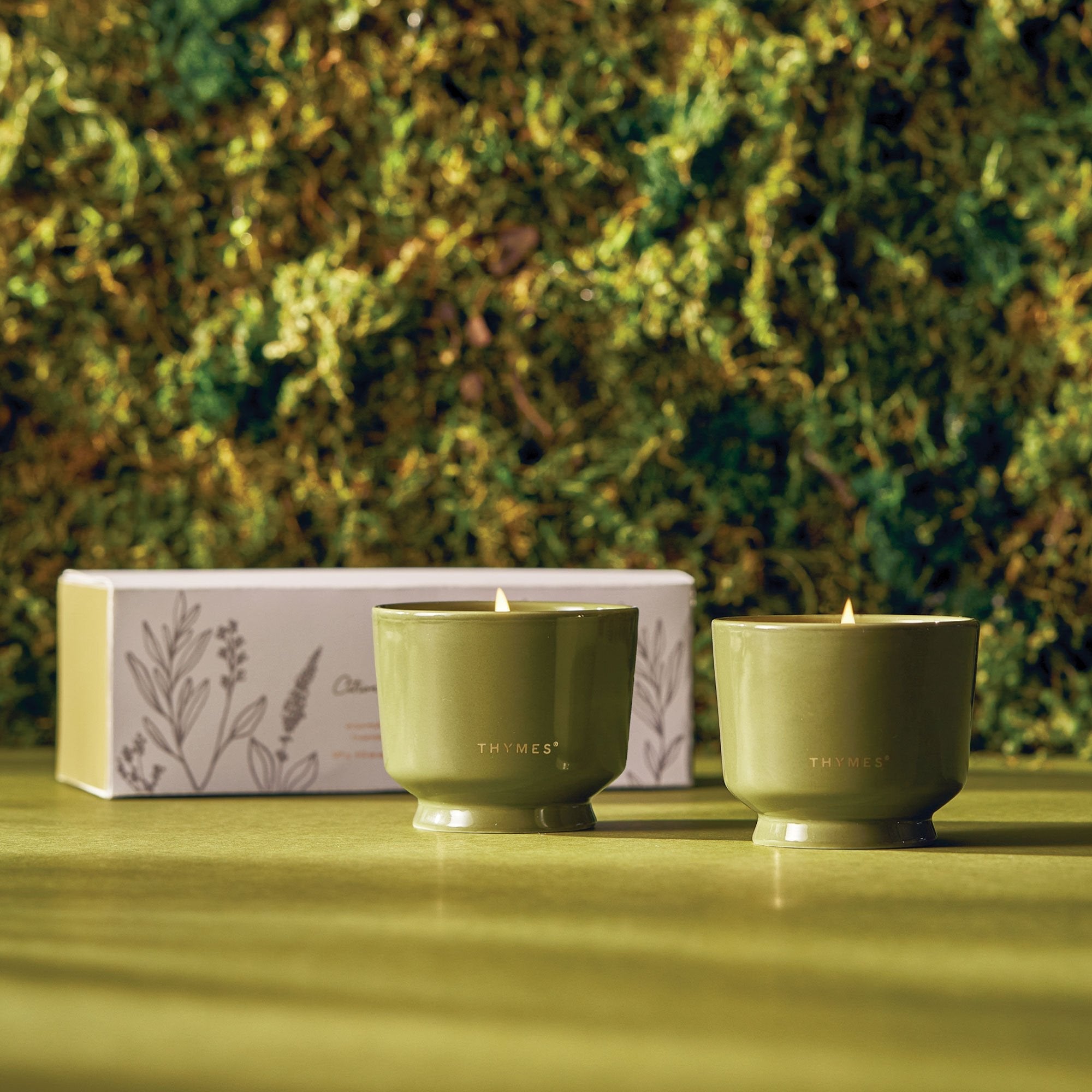 Outdoor Oasis Citronella Grove Aromatic Candle Set