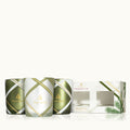 Frasier Fir® Frosted Plaid Votive Trio