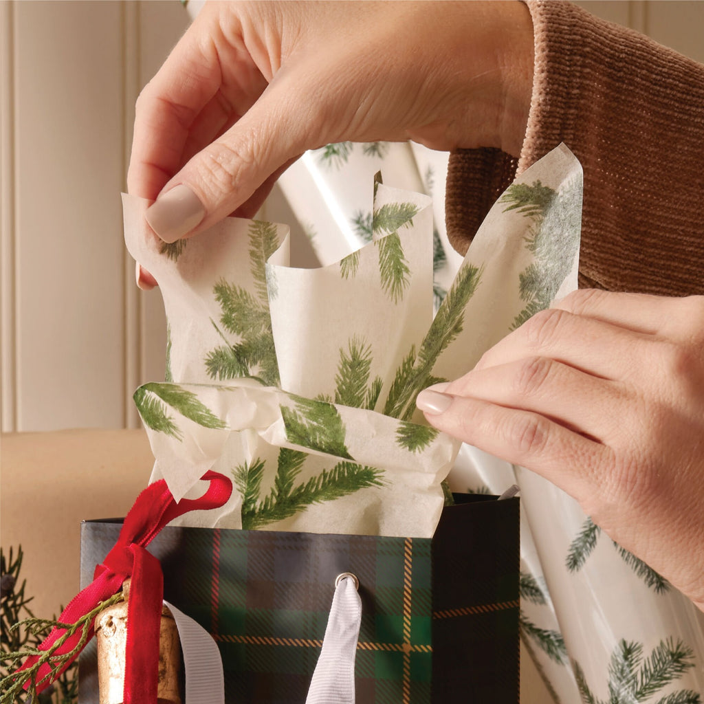 Frasier Fir® Fragranced Tissue Paper