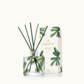 Frasier Fir? Petite Pine Needle Reed Diffuser