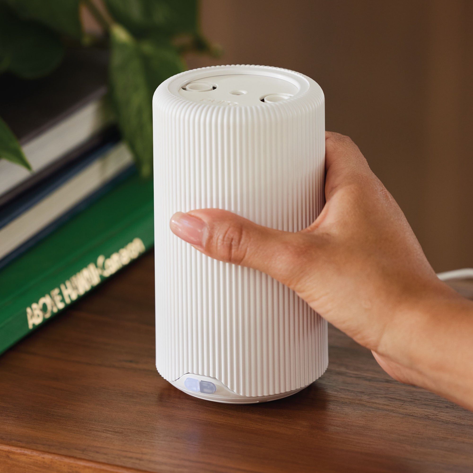 Frasier Fir? Pura Plus? Diffuser Kit