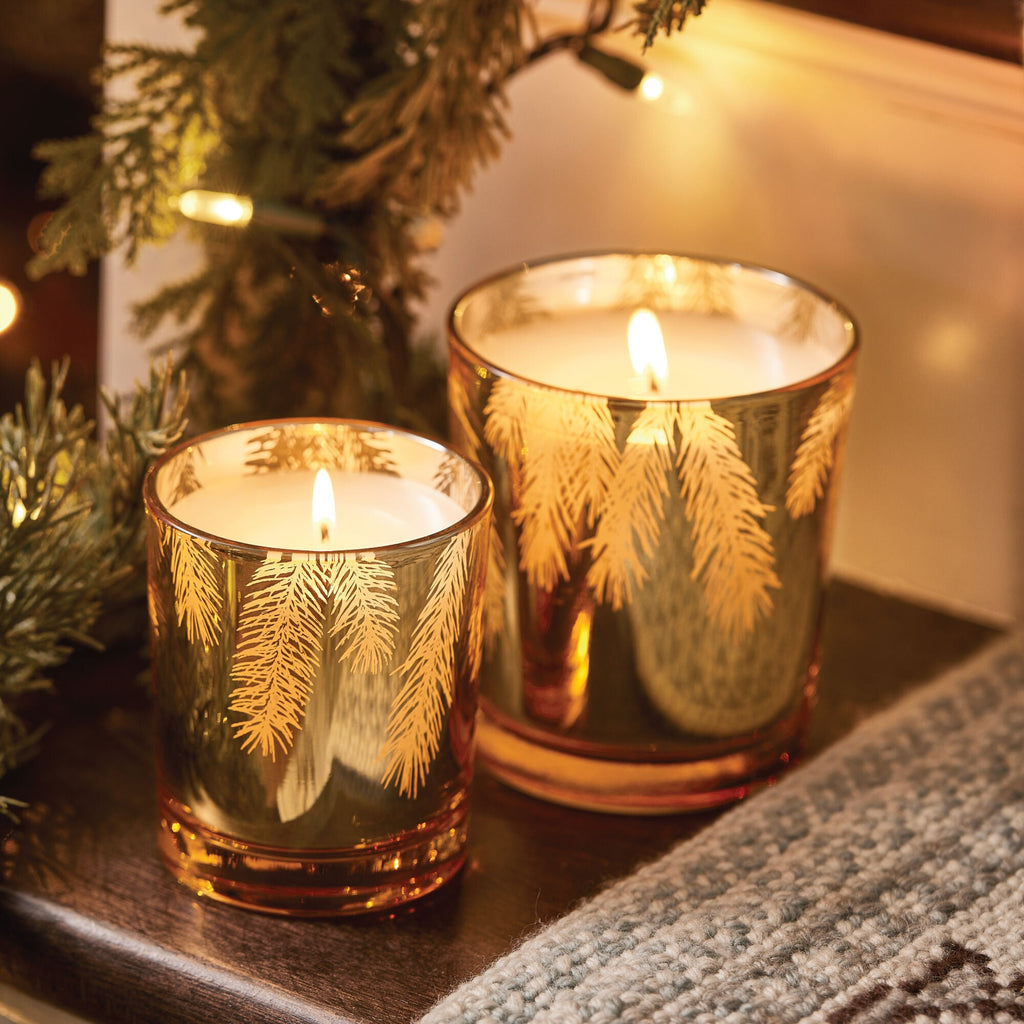 Frasier Fir? Gilded 13 oz Poured Candle