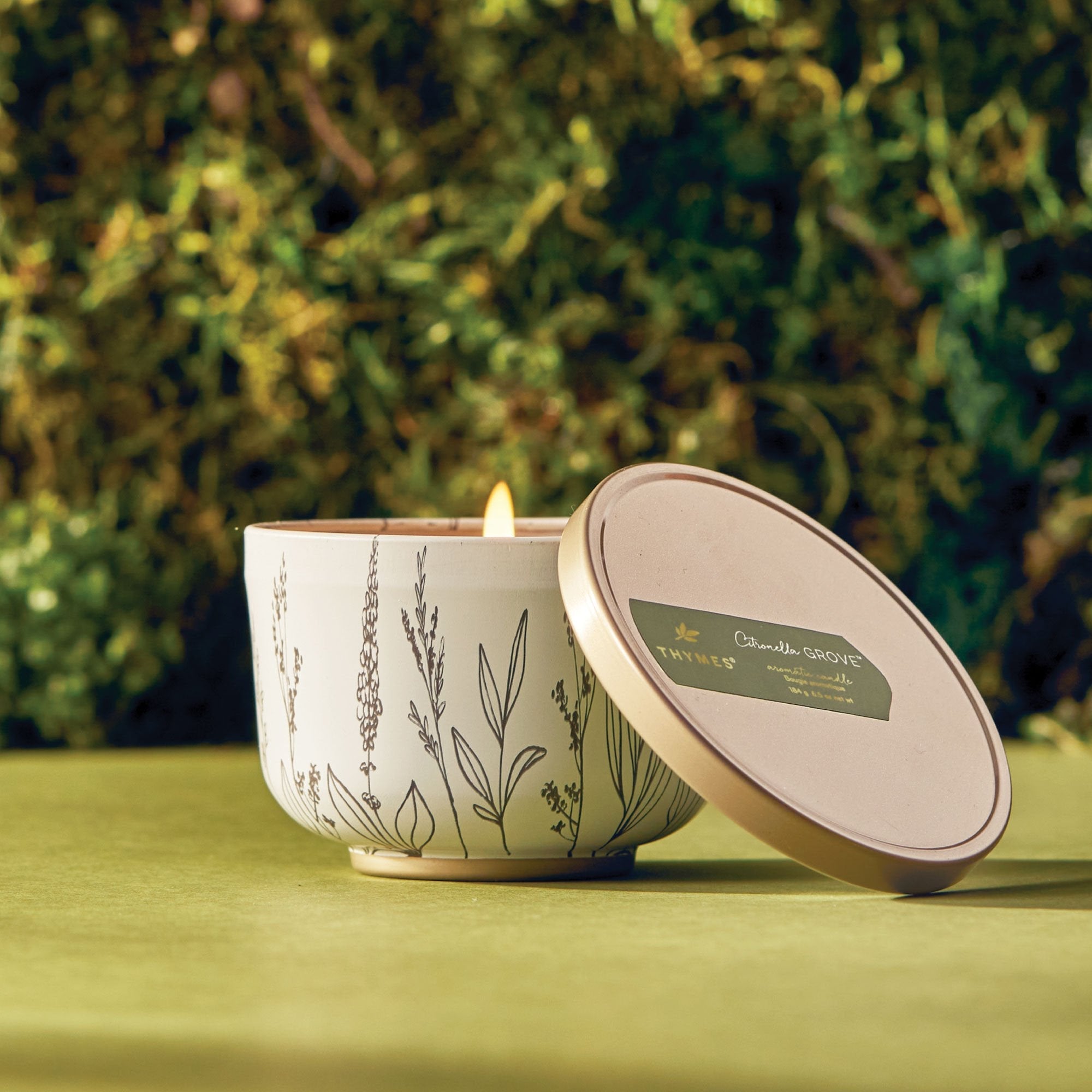 Outdoor Oasis Citronella Grove Poured Candle Tin with Gold Lid