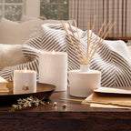 Frasier Fir? Ceramic Medium Candle