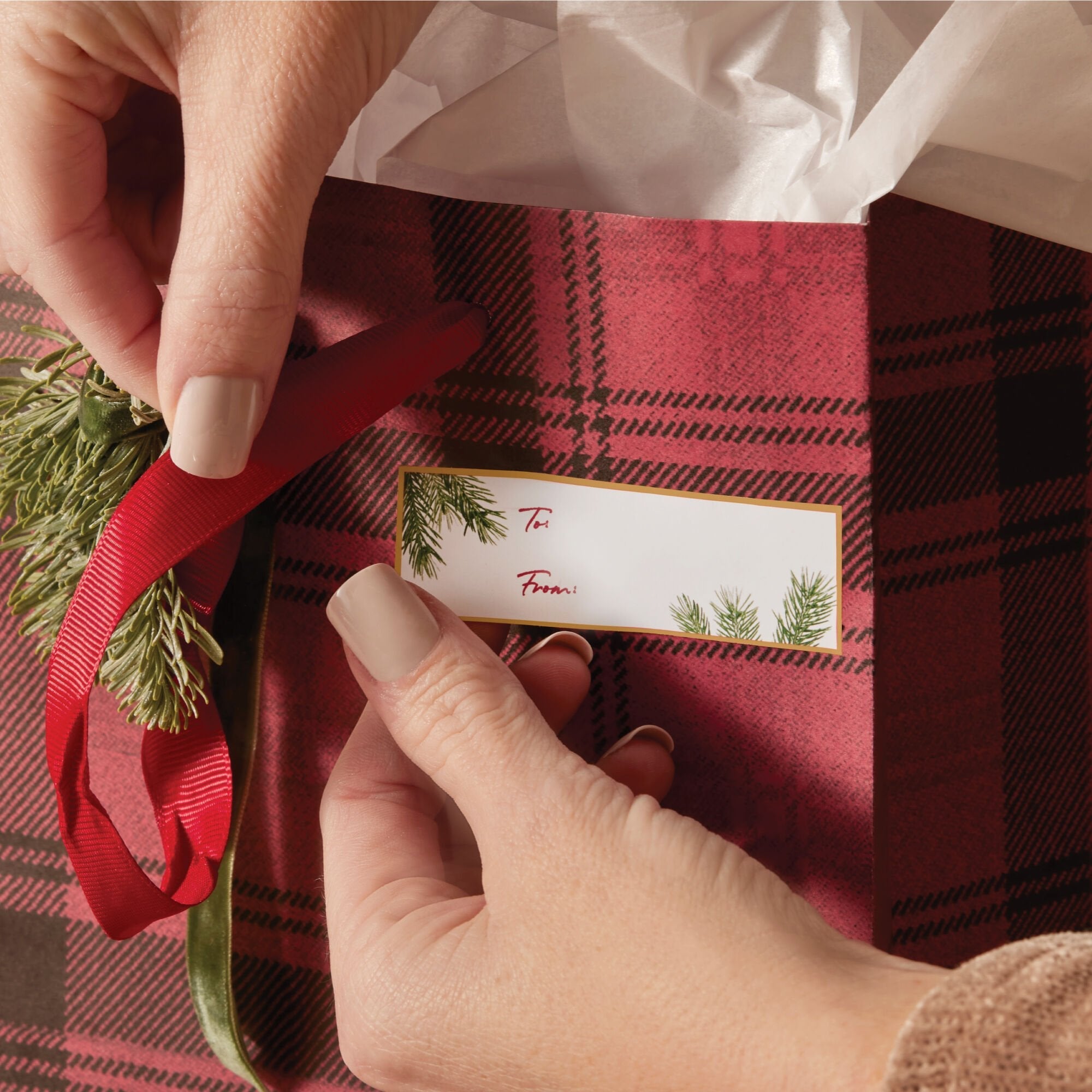 Frasier Fir® Fragranced Adhesive Gift Tags